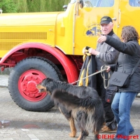 Nutzfahrzeugtreffen 2013